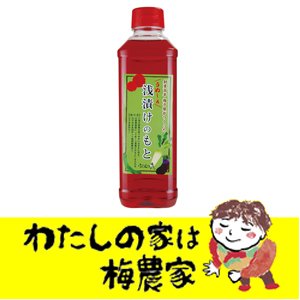 うめ～ぇ 浅漬けの素（しそ風味）500ml入 10本セット 梅製品 南高梅