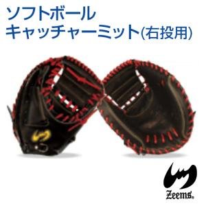 Zeems（ジームス） ソフトボール用キャッチャーミット 左投用 DX