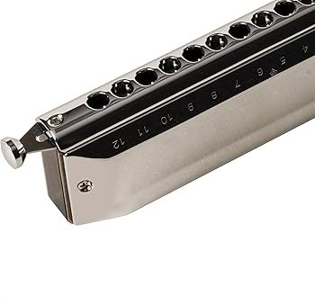 Amazon.com: Suzuki SCX56-C Harmonica : Musical Instruments