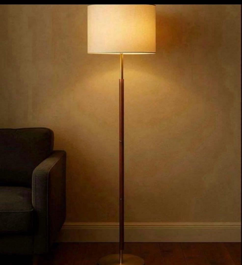 ADESSO 北欧　フロアランプ　おしゃれ　ランプ　LED Amazon | Adesso 4218-01 コレットLEDフロアランプ、58-63インチ、9W