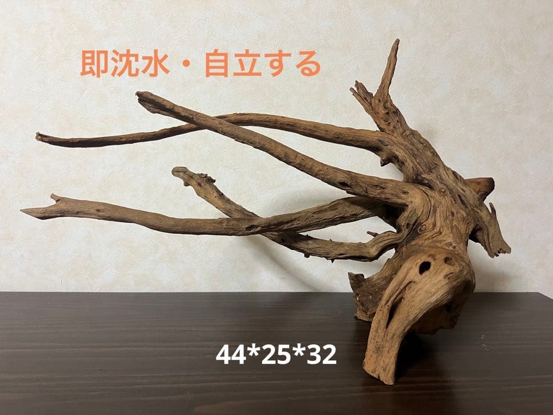 175 流木　ホーンウッド　マシンガンウッド　アクアリウム　ブランチウッド HX-081 流木 ホーンウッド マシンガンウッド アクアリウム ブランチ